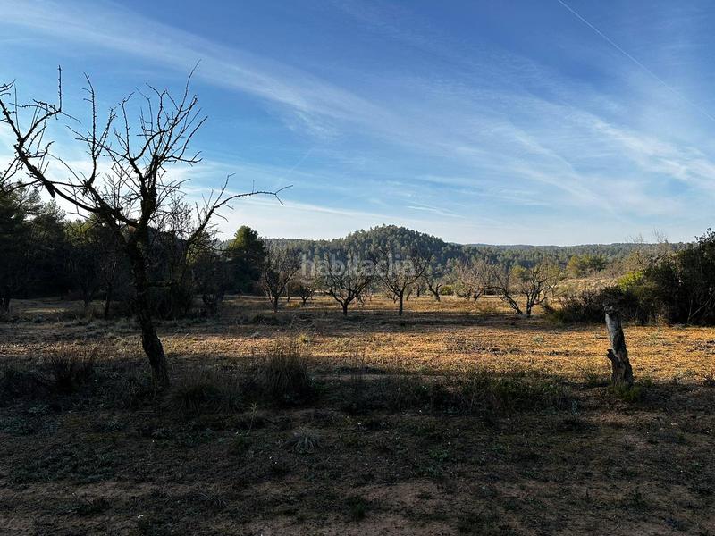 Foto c94139fa-73bf-4675-a32c-11efdef70426. Finca rústica terreno en venta en cervià en Cervià de les Garrigues