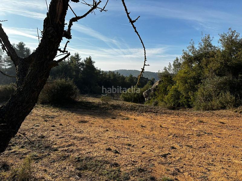 Foto e48a87b4-2908-4121-a70d-dbf2387f5c25. Finca rústica terreno en venta en cervià en Cervià de les Garrigues