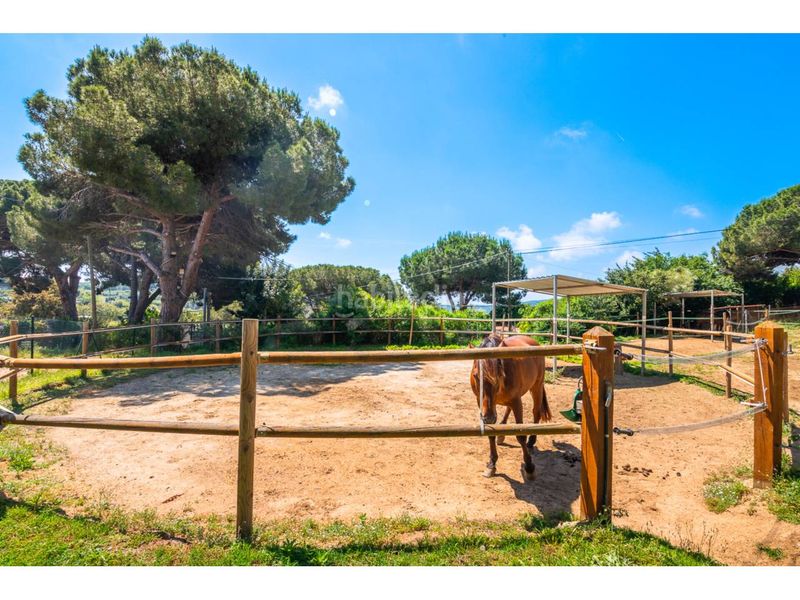 Foto 69a85ae1-b945-4447-819e-6d9c3832ea48. Masia amb calefacció aparcament piscina a Nucli Urbà Argentona