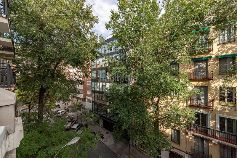 Foto 772ac69e-824f-4501-a9b3-8f1380262786. Affitto appartamento con piscina in Almagro Madrid