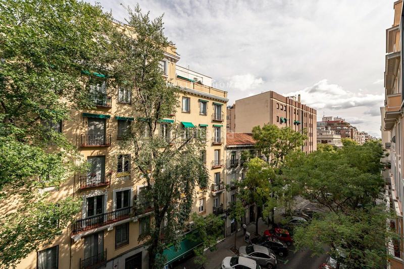 Foto c87983ec-0dda-4234-9249-69d7a7de17fd. Rent flat with pool in Almagro Madrid