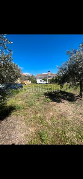 Foto 18358c07-8cd8-4fd9-87b9-2ef2b34e8084. Terreno residenziale in calle de guatemala 33 in Torremocha de Jarama