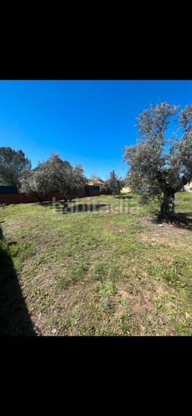 Foto 3eb694a7-f0ba-4bd7-8abb-521810d308eb. Terreno residenziale in calle de guatemala 33 in Torremocha de Jarama