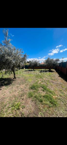 Foto 9d17f493-7c34-44b8-a236-986312117a71. Terreno residenziale in calle de guatemala 33 in Torremocha de Jarama