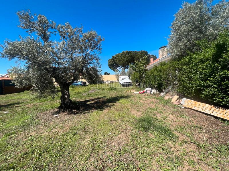Foto b0717997-a18d-4480-a813-db6e5739415f. Terreno residenziale in calle de guatemala 33 in Torremocha de Jarama