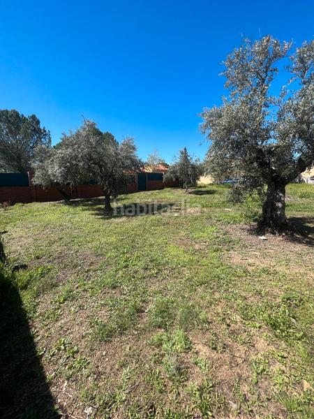 Foto c98b8f32-8bc4-4fcd-b8fe-2d82701b1928. Terreno residenziale in calle de guatemala 33 in Torremocha de Jarama