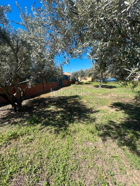 Foto ff011fc4-f9d0-47c9-9788-4680abbeb943. Terreno residenziale in calle de guatemala 33 in Torremocha de Jarama