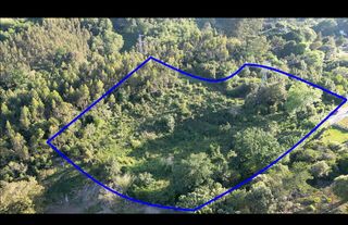 Terreny residencial a Lugar sebreño 48d. Finca urbana con posibilidad de segregación en sebreño