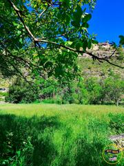 Fondo rustico in San Fernando - Carretera de Valencia. Oportunidad única en palomera  huerto con gran potencial