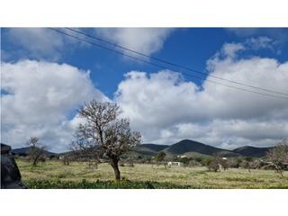 Terreny residencial  N/a. Parcela rústica de 7000m en ibiza, con vistas a cap falcó y play
