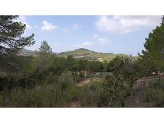 Finca rústica a Sant Antoni de Portmany. Terreno rústico en venta