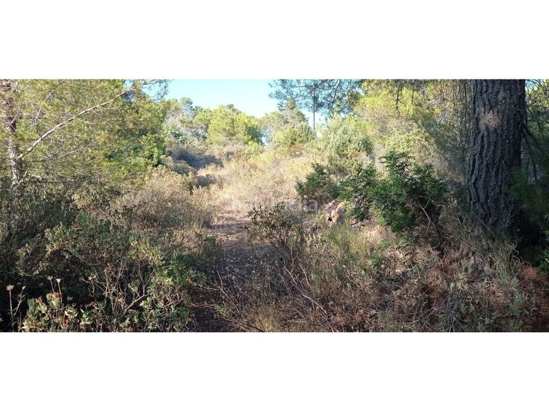 Foto 0a19576b-3626-49e7-b57e-07c3ca7bd4a2. Finca rústica a Sant Antoni de Portmany