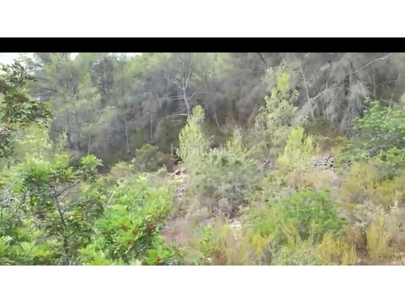 Foto 9fa86973-1866-432b-b58f-80f07338d1b5. Finca rústica a Sant Antoni de Portmany