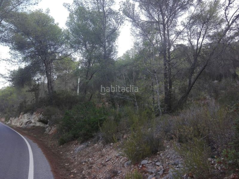 Foto 42c7128c-9798-4293-8b7d-3d802844dce0. Finca rústica a Sant Antoni de Portmany