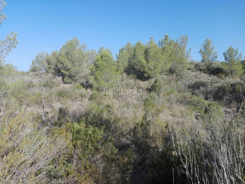 Foto d7c512f3-cb60-424a-9905-c85879b76c71. Finca rústica a Sant Antoni de Portmany