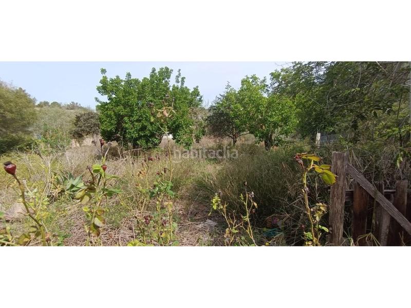 Foto 1812b9db-0d4a-4b87-88b0-ba61ef0bed7d. Finca rústica a Sant Josep Sant Josep de sa Talaia