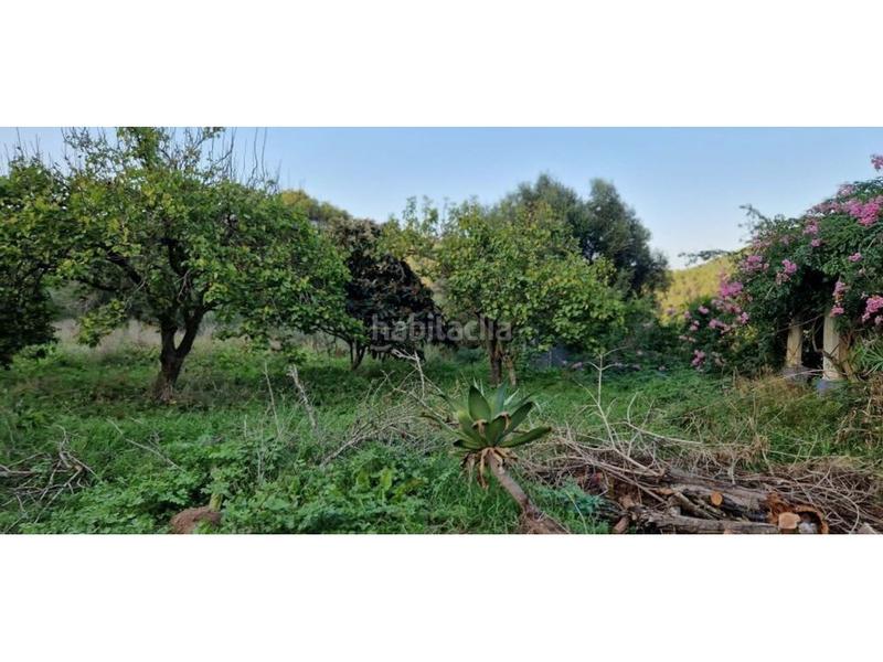 Foto 45a64710-9396-4a5b-a0b7-2772d52ca0bc. Finca rústica a Sant Josep Sant Josep de sa Talaia