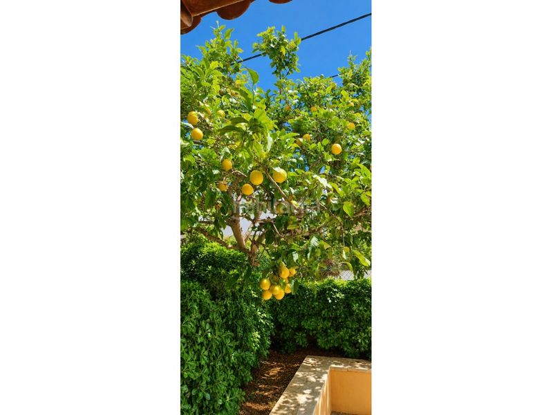 Foto 69f8d84d-1257-4486-a54e-da640b6e2759. Casa adossada a Jesús Santa Eulària
