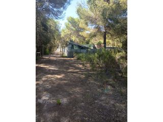 Finca rústica  Diseminados xinxo-s agustin. Terreno rústico vallado en benimussa, sant antoni de portman