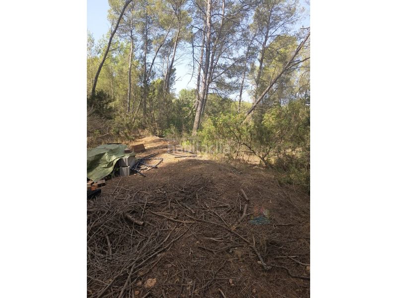 Foto 57a64194-8306-4127-b6a2-b34a6e57b48c. Finca rústica a Sant Antoni de Portmany