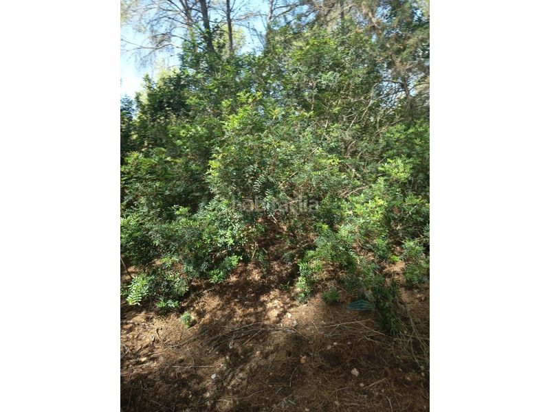 Foto 85a7697c-6954-4cf8-b687-a075fa0c7ed5. Finca rústica a Sant Antoni de Portmany
