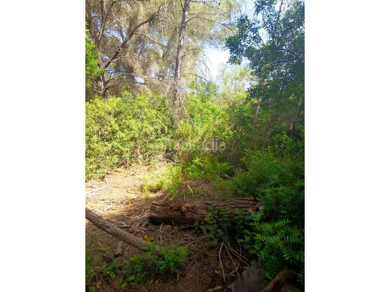 Foto 89920a22-a7f9-4518-a758-a20170d39570. Finca rústica a Sant Antoni de Portmany