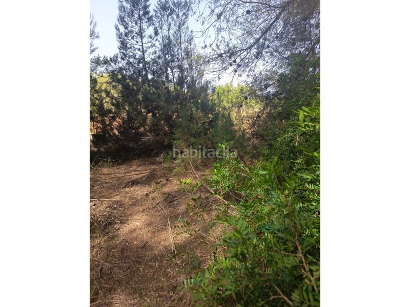 Foto b8c46887-f59d-4c63-9d1b-b8f6c945ad5b. Finca rústica a Sant Antoni de Portmany