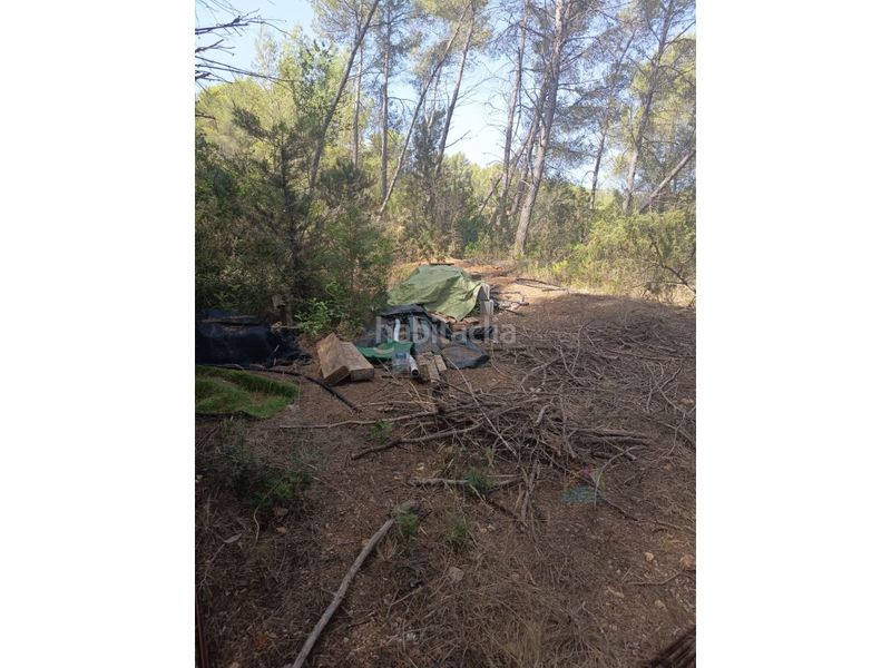 Foto c72528fe-ef4e-4830-ba06-375d3baeb4b0. Finca rústica a Sant Antoni de Portmany