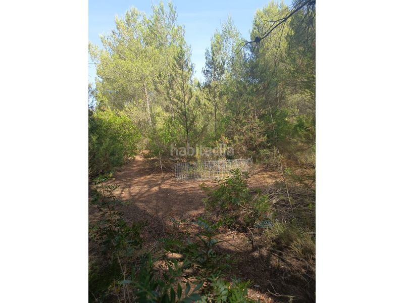Foto dba12f7d-89c6-4bb4-899e-225a687cc03f. Finca rústica a Sant Antoni de Portmany