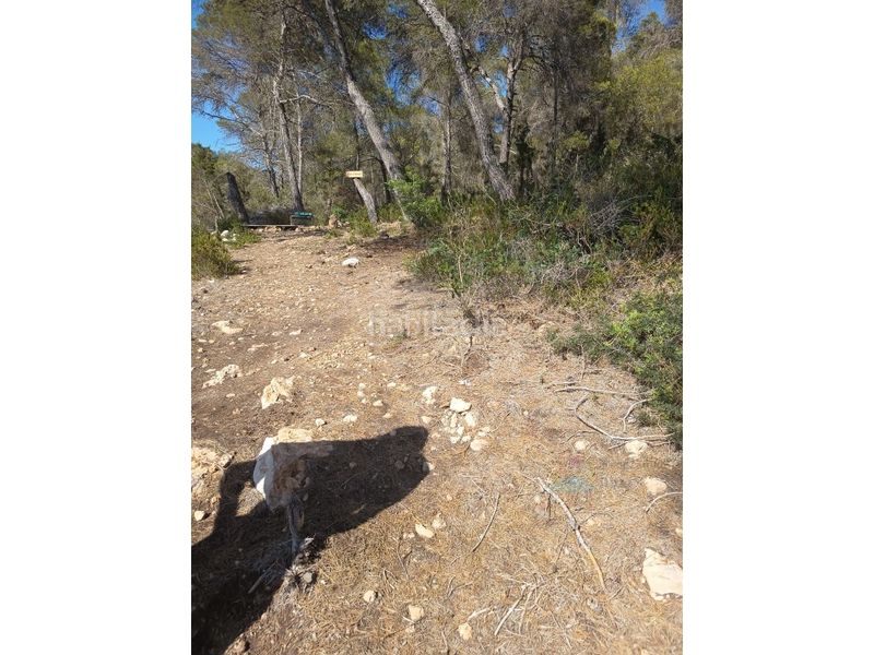 Foto 04a8bdac-7073-4e5a-8915-f639f6c76a74. Finca rústica a Sant Antoni de Portmany