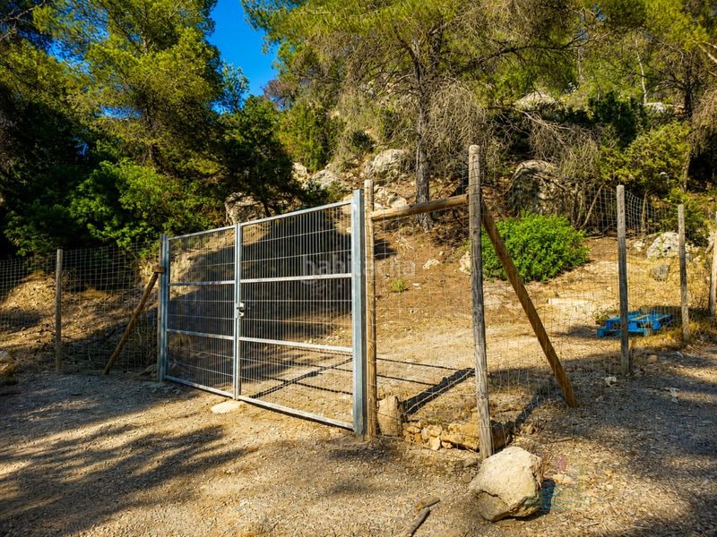 Foto 54477e9a-5bdd-4fc2-8321-81bf84926a31. Finca rústica a Sant Antoni de Portmany