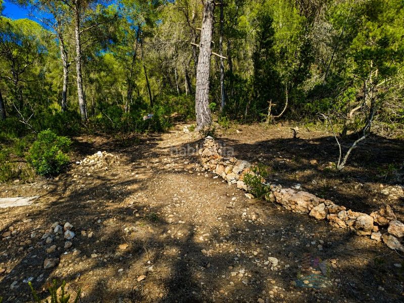 Foto ba4382a9-2abc-4b2c-b441-9fff1c41f809. Finca rústica a Sant Antoni de Portmany