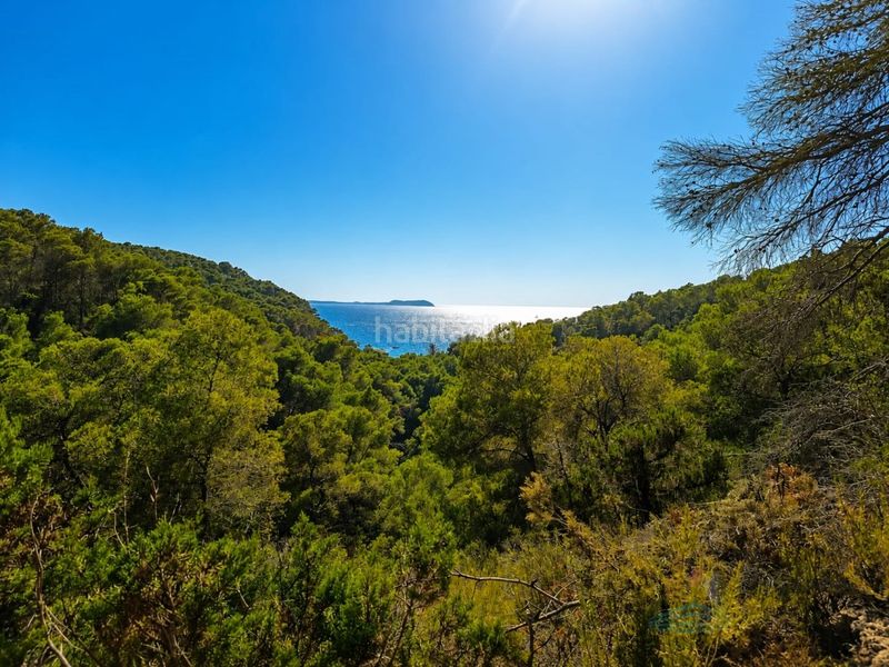 Foto de83d441-66a9-4536-9aef-f2a03ed91ec4. Finca rústica a Sant Antoni de Portmany