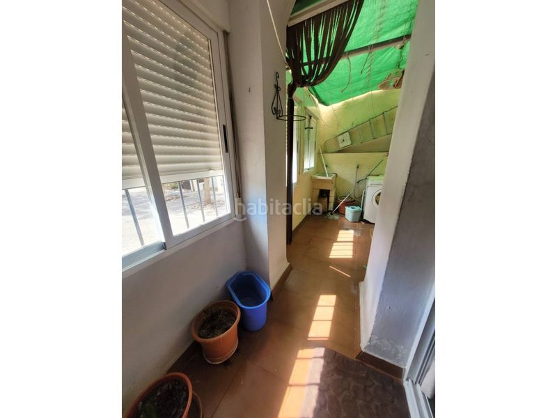 Foto 59c9436d-56a7-4082-a99a-e67b7d50479e. Pis a Baza