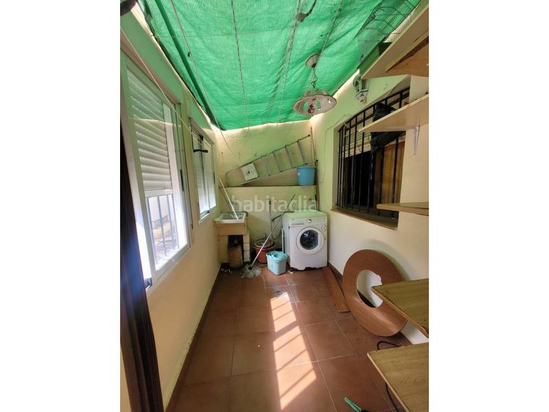 Foto 8b0a2044-e9fb-49d0-a71e-733ae8ffa1da. Pis a Baza