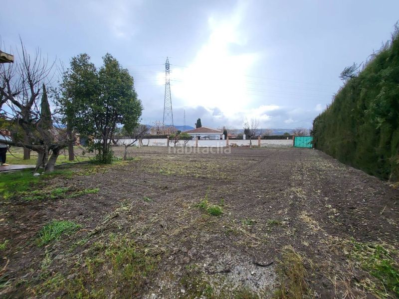 Foto 285d65ff-6541-4306-b141-fec4c4288118. Chalet venta de villa en Baza