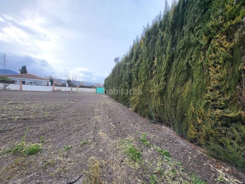Foto 3b955ffe-ac7c-4c74-8fc7-9ba82a9e268a. Chalet venta de villa en Baza
