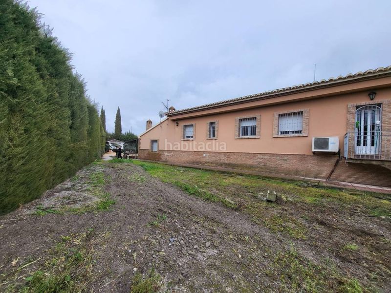 Foto 55348c51-44ef-42e1-9412-3db0b73e3bd1. Chalet venta de villa en Baza