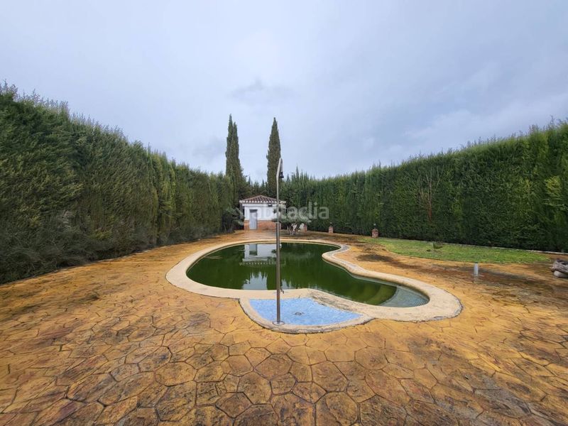 Foto a8be6f5d-459b-43f2-a237-2541d664159c. Chalet venta de villa en Baza