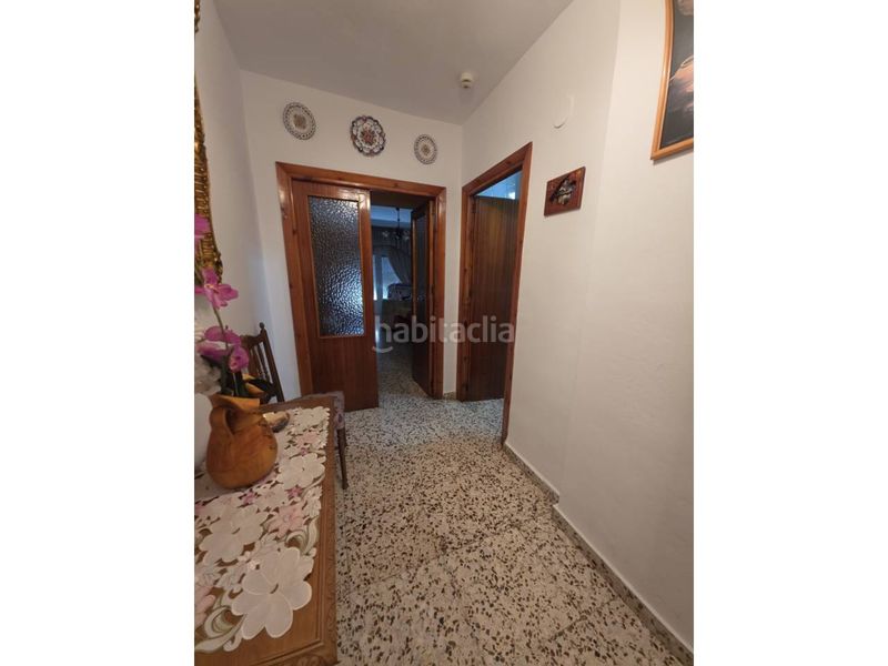 Foto 2c9736e5-7d60-4483-a52f-0914e64f48fa. Pis a Baza