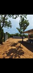 Rural plot in Constantí. Parcela constanti