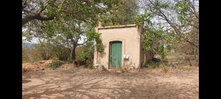 Rural plot in Borges del Camp (Les). Borges