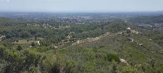 Rural plot in Borges del Camp (Les). Borges
