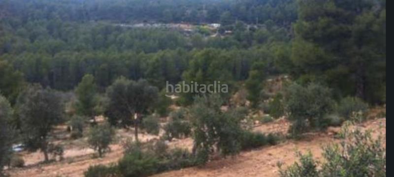 Foto eacb6762-3579-41e2-9598-65bc2164576e. Propriété dans Borges del Camp (Les)