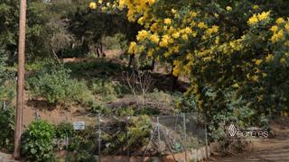 Terreny residencial a Carrer dels geranis 16. Tu hogar, donde la naturaleza abraza tu vida.
