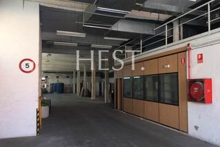 Nau industrial  Carrer del tambor del bruc. Oportunidad única para empresas en crecimiento
