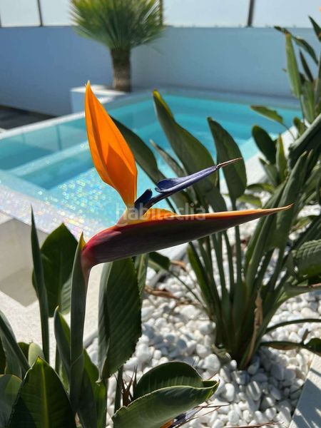 Foto 0105d580-5d4e-4d0b-8f97-ff701c934d7a. Casa amb aparcament piscina a Cap Ras - Creus - Falconera Empuriabrava