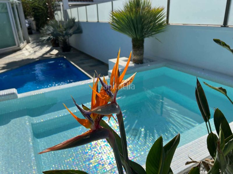 Foto b20529ae-5f79-41c4-8fd7-1733d7dd906f. Casa amb aparcament piscina a Cap Ras - Creus - Falconera Empuriabrava