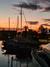 Ampliar foto 9f853d3f-2e12-46ed-b189-fb6ff532ed3c.jpg