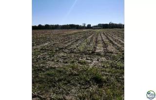 Terreny residencial a Puigmal - Mas Nou. Amplio terreno agrícola en venta castello dempuries